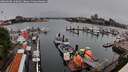 ./images/victoria/wharf/20260608/wharf20260608_140001M.jpg