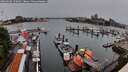 ./images/victoria/wharf/20260608/wharf20260608_150001M.jpg