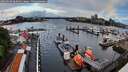 ./images/victoria/wharf/20260609/wharf20260609_062001M.jpg