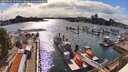 ./images/victoria/wharf/20260609/wharf20260609_172501M.jpg