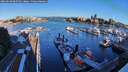 ./images/victoria/wharf/20260610/wharf20260610_065502M.jpg