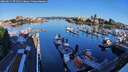 ./images/victoria/wharf/20260611/wharf20260611_071501M.jpg