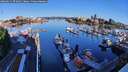 ./images/victoria/wharf/20260611/wharf20260611_072001M.jpg