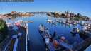 ./images/victoria/wharf/20260611/wharf20260611_072501M.jpg