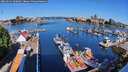 ./images/victoria/wharf/20260611/wharf20260611_090002M.jpg