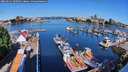 ./images/victoria/wharf/20260611/wharf20260611_090501M.jpg
