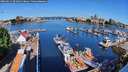 ./images/victoria/wharf/20260611/wharf20260611_091001M.jpg