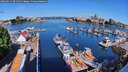 ./images/victoria/wharf/20260611/wharf20260611_091501M.jpg