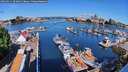 ./images/victoria/wharf/20260611/wharf20260611_092002M.jpg