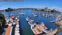 ./images/victoria/wharf/20260611/wharf20260611_121001M.jpg