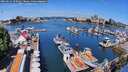 ./images/victoria/wharf/20260612/wharf20260612_103002M.jpg