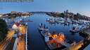 ./images/victoria/wharf/20260613/wharf20260613_044501M.jpg