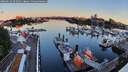 ./images/victoria/wharf/20260613/wharf20260613_052501M.jpg