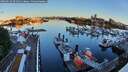 ./images/victoria/wharf/20260613/wharf20260613_054501M.jpg