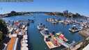 ./images/victoria/wharf/20260613/wharf20260613_140501M.jpg