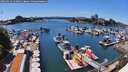 ./images/victoria/wharf/20260613/wharf20260613_144001M.jpg