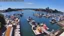 ./images/victoria/wharf/20260613/wharf20260613_152001M.jpg