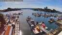 ./images/victoria/wharf/20260613/wharf20260613_170501M.jpg