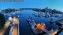 ./images/victoria/wharf/20260614/wharf20260614_044001M.jpg
