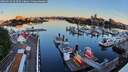 ./images/victoria/wharf/20260614/wharf20260614_053501M.jpg
