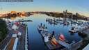 ./images/victoria/wharf/20260614/wharf20260614_054001M.jpg