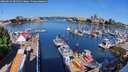 ./images/victoria/wharf/20260614/wharf20260614_091501M.jpg