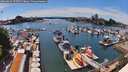 ./images/victoria/wharf/20260614/wharf20260614_152501M.jpg