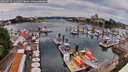 ./images/victoria/wharf/20260615/wharf20260615_131001M.jpg