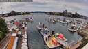 ./images/victoria/wharf/20260615/wharf20260615_143001M.jpg