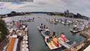 ./images/victoria/wharf/20260615/wharf20260615_153001M.jpg
