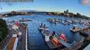 ./images/victoria/wharf/20260616/wharf20260616_063002M.jpg