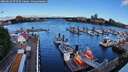 ./images/victoria/wharf/20260616/wharf20260616_073501M.jpg