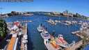 ./images/victoria/wharf/20260616/wharf20260616_112001M.jpg