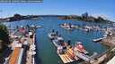 ./images/victoria/wharf/20260616/wharf20260616_150001M.jpg