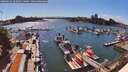 ./images/victoria/wharf/20260616/wharf20260616_164501M.jpg