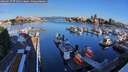 ./images/victoria/wharf/20260617/wharf20260617_071001M.jpg