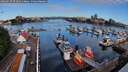 ./images/victoria/wharf/20260617/wharf20260617_073501M.jpg