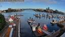 ./images/victoria/wharf/20260617/wharf20260617_074501M.jpg