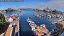 ./images/victoria/wharf/20260617/wharf20260617_093501M.jpg
