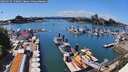 ./images/victoria/wharf/20260617/wharf20260617_150001M.jpg