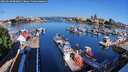 ./images/victoria/wharf/20260618/wharf20260618_083001M.jpg