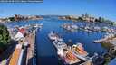 ./images/victoria/wharf/20260618/wharf20260618_093501M.jpg