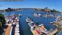 ./images/victoria/wharf/20260618/wharf20260618_124501M.jpg
