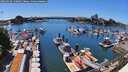 ./images/victoria/wharf/20260618/wharf20260618_150001M.jpg