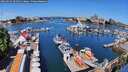 ./images/victoria/wharf/20260619/wharf20260619_104501M.jpg