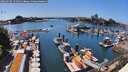 ./images/victoria/wharf/20260620/wharf20260620_151501M.jpg