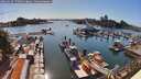 ./images/victoria/wharf/20260620/wharf20260620_170501M.jpg