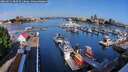 ./images/victoria/wharf/20260621/wharf20260621_082501M.jpg