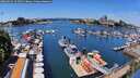 ./images/victoria/wharf/20260622/wharf20260622_123501M.jpg