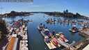 ./images/victoria/wharf/20260622/wharf20260622_161001M.jpg